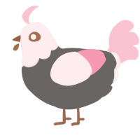 A grey and rose chicken with a head pattern