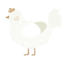 A white chicken with a double-lace pattern