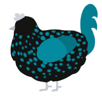 A black and sea chicken with a speckle pattern