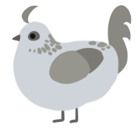 A mist and ash chicken with a neck-speckle pattern