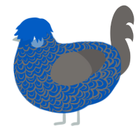 Lazuli, a ultramarine and grey chicken with a double-lace pattern