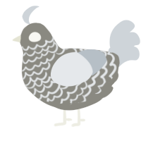 A ash and mist chicken with a lace pattern