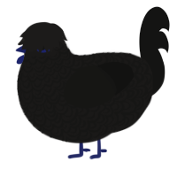 The All Knowing, a sable and black chicken with a double-lace pattern