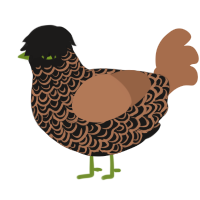 A sable and brown chicken with a double-lace pattern