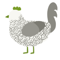 A white and ash chicken with a double-lace pattern