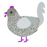 A ash and silver chicken with a double-lace pattern