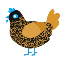 A black and orange chicken with a double-lace pattern