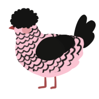 A rose and black chicken with a lace pattern
