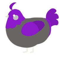 A grey and violet chicken with a head pattern