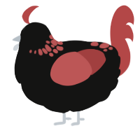 (unnamed), a black and red chicken with a neck-speckle pattern