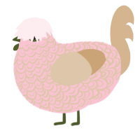Raw, a rose and beige chicken with a double-lace pattern