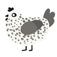 Stony Hen, a white and grey chicken with a speckle pattern