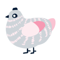 The Lay Sister, a mist and rose chicken with a bar pattern