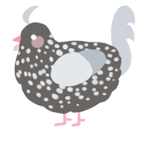 A grey and mist chicken with a speckle pattern