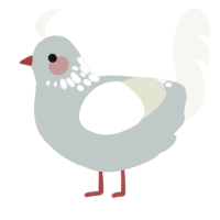 A silver and white chicken with a neck-speckle pattern