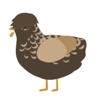 Macchiato, a bark and beige chicken with a half-lace pattern