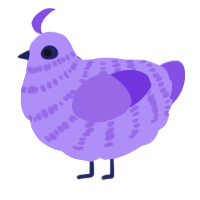 A lilac and blurple chicken with a bar pattern