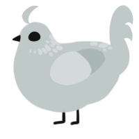 Memories of Majesty, a silver chicken with a neck-speckle pattern