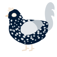 A tumblr and mist chicken with a speckle pattern