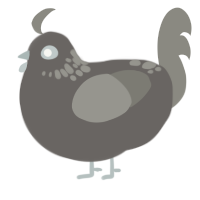 A grey and ash chicken with a neck-speckle pattern