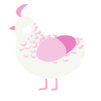 A white and pink chicken with a half-lace pattern