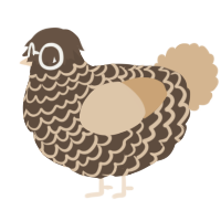 Chai, a bark and beige chicken with a lace pattern