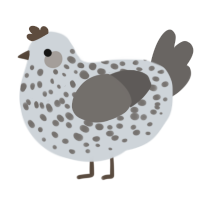 Iced Driveway, a mist and grey chicken with a speckle pattern