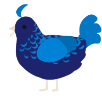 A navy and sapphire chicken with a half-lace pattern