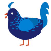 Jelly Cookie, a navy and sapphire chicken with a half-lace pattern