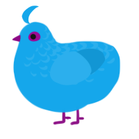 岩鳶, a sky chicken with a half-lace pattern