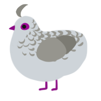 A mist and ash chicken with a half-lace pattern