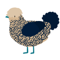 A beige and tumblr chicken with a double-lace pattern