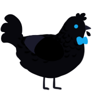 A white chicken with a half-lace pattern