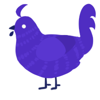 wait, a indigo chicken with a bar pattern