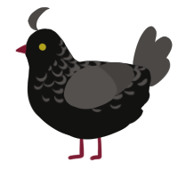 A sable and grey chicken with a half-lace pattern