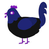A black and navy chicken with a head pattern
