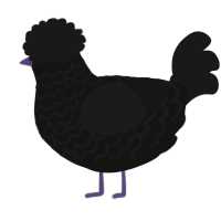 Fawn Antlers, a black and sable chicken with a lace pattern