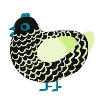 A black and apple chicken with a lace pattern