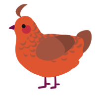 A vermilion and russet chicken with a half-lace pattern