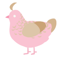 A rose and beige chicken with a half-lace pattern