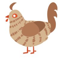 Dune, a beige and brown chicken with a bar pattern