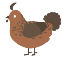 A brown and bark chicken with a half-lace pattern