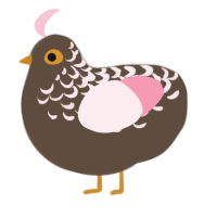 (unnamed), a bark and rose chicken with a half-lace pattern