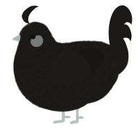 The Narrator, a sable chicken with a lace pattern