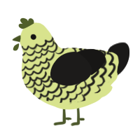 Mint Chocolate Chip, a lemon and sable chicken with a lace pattern