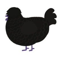 A black and sable chicken with a lace pattern