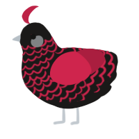 (unnamed), a sable and crimson chicken with a lace pattern