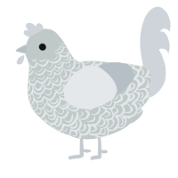 (unnamed), a silver and mist chicken with a double-lace pattern