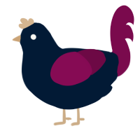 awfuly hot coffe pot, a tumblr and wine chicken