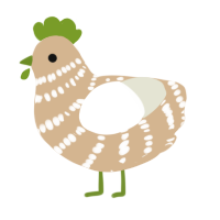 A beige and white chicken with a bar pattern